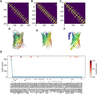 ContactPFP: Protein Function Prediction Using Predicted Contact Information